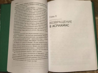 Йоси Гинсберг: Джунгли. В природе есть только один закон - выживание