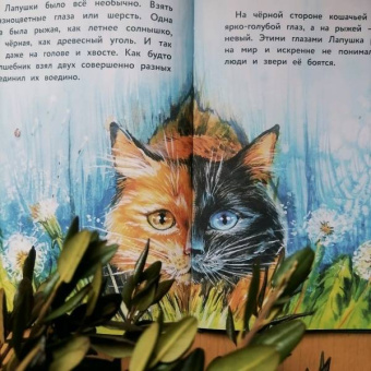 Анна Федулова: Вместе не страшно