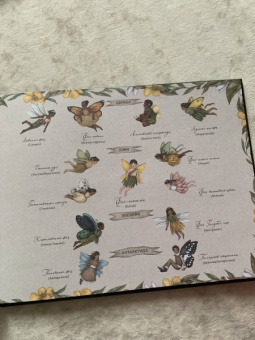 Секретная жизнь фей