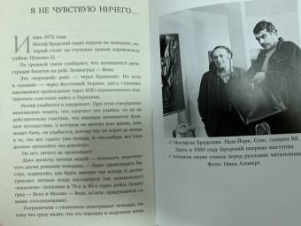 Максим Гуреев: Сергей Довлатов. Остановка на местности. Опыт концептуальной биографии