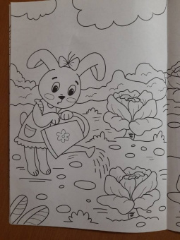 Раскраска А4. В огороде