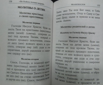 "Не бойся, только веруй!". Как молиться за детей. С наставлениями и советами для родителей