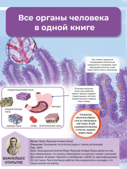 Клэр Хибберт: Тело человека