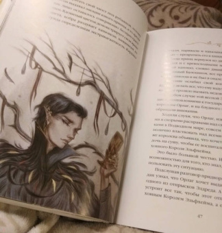 Холли Блэк: Как король Эльфхейма научился ненавидеть истории