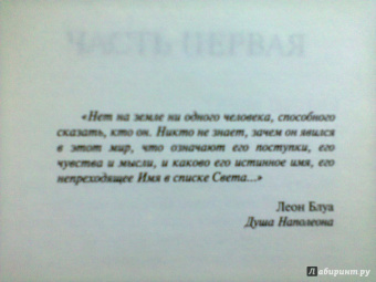 Дина Рубина: Белая голубка Кордовы