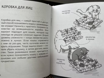 Анна Орлова: Самяучитель. Как правильно играть с кошкой