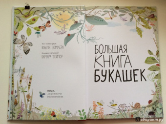 Зоммер, Тейлор: Большая книга букашек