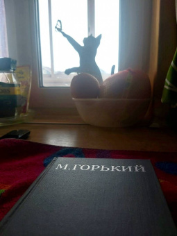 Максим Горький: Жизнь Клима Самгина