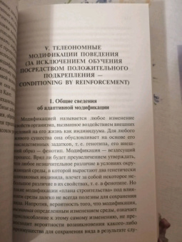 Конрад Лоренц: Оборотная сторона зеркала