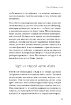 Джефф Хокинс: 1000 мозгов. Новая теория интеллекта