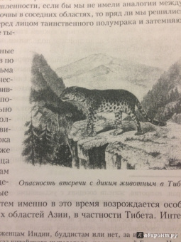 Царева, Кюнер, Мак-Говерн: Все о Тибете. Природа, религия, традиция