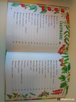 Николай Сладков: Лесные сказки