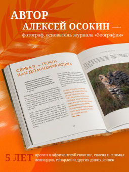 Алексей Осокин: Мир диких животных без мифов. Невероятные фото-истории о жизни хищников саванны