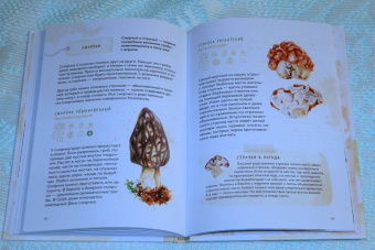 Михаил Вишневский: Грибы. Атлас-определитель