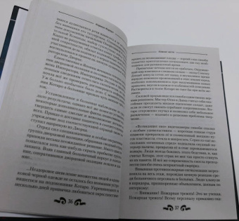 Кирилл Корзун: Клинок чести