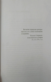 Анне Свердруп-Тайгенсон: Планета насекомых. Странные, прекрасные, незаменимые существа, которые заставляют наш мир вращаться