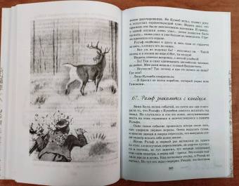 Эрнест Сетон-Томпсон: Рольф в лесах