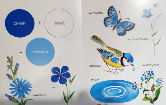 Елена Ивановская: Моя первая книжка о цвете