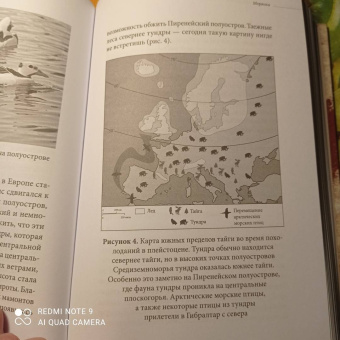 Клайв Финлейсон: Умный неандерталец. Охота на птиц, пещерное искусство и когнитивная революция