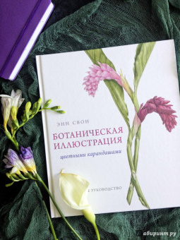 Энн Свон: Ботаническая иллюстрация цветными карандашами. Пошаговое руководство