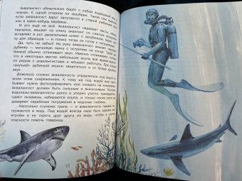 Александр Тамбиев: Как увидеть морское дно?