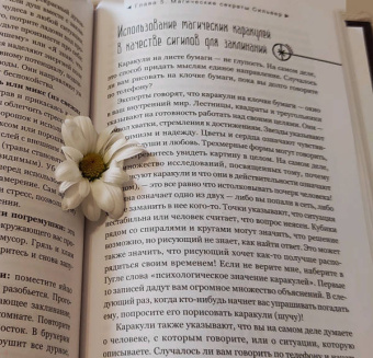 Сильвер Рэйвенвульф: Час ведьмы. Заклинания, порошки, формулы и эффективные техники ведовства