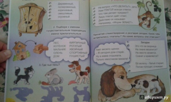 Марина Дружинина: Занимательная грамматика