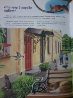 Юлия Смирнова: Природа в городе