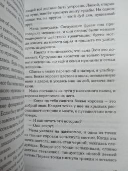Чжан Ди: Свет Вечной Весны