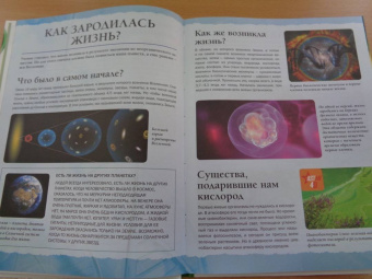 Анна Спектор: Живой мир