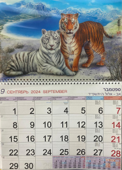 Календарь Стерео на 2025-2026 год: Тигры