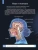 Алла Озорнина: Мозг человека. Самая умная энциклопедия