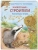 Фридерун Райхенштеттер: Животные-строители. Познавательные истории