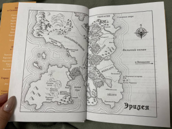 Сара Маас: Королевство пепла
