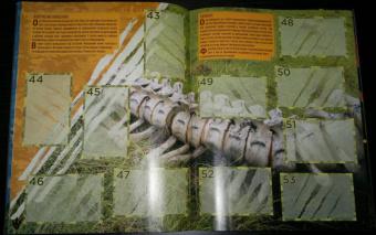 Альбом для наклеек "Мир Юрского периода 2 " (+ 15 наклеек)