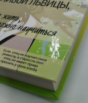 Литвак, Черная: Похождения Трусливой Львицы, или Искусство жить, которому можно научиться