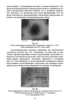 Сахно, Ватников, Ленченко: Практическая электронная микроскопия. Учебное пособие для СПО