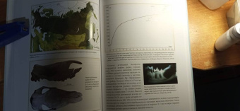 Андрей Шпанский: О мамонтах и их спутниках. Палеоэкология мамонтовой фауны