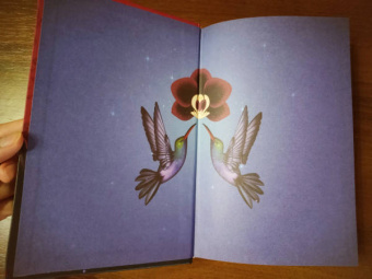 Зорайда Кордова: Наследие Божественной Орхидеи