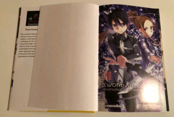 Рэки Кавахара: Sword Art Online. Том 10. Алисизация. Запуск. Ранобэ