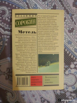 Владимир Сорокин: Метель