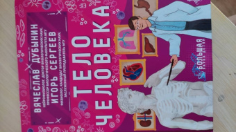 Дубынин, Сергеев: Тело человека