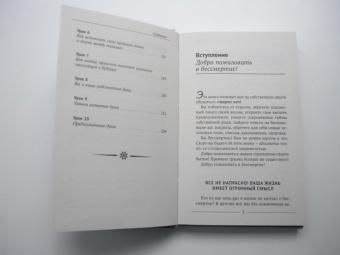Майк Линн: Тренинг по системе Майкла Ньютона. Путешествия вне пространства и времени. Как жить счастливо