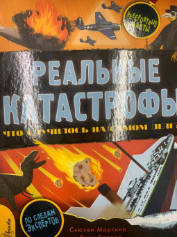 Сьюзен Мартино: Реальные катастрофы. Что случилось на самом деле?