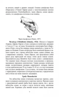 Веселова, Блохина: Биология, систематика и разведение кошачьих. Учебное пособие для вузов