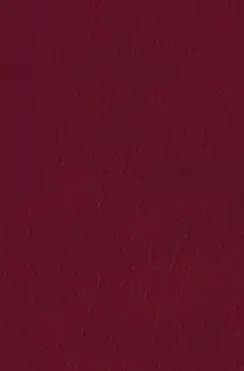 Джейн Остен: Гордость и предубеждение. Доводы рассудка