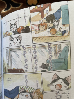 Конами Каната: Милый дом Чи. Книга 4