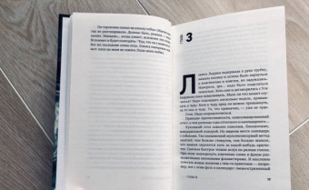 Микаель Ниеми: Дамба