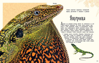 Бен Хоар: Чудеса природы. Энциклопедия