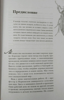 Анне Свердруп-Тайгенсон: Планета насекомых. Странные, прекрасные, незаменимые существа, которые заставляют наш мир вращаться